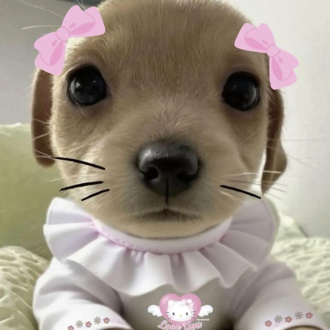 小思