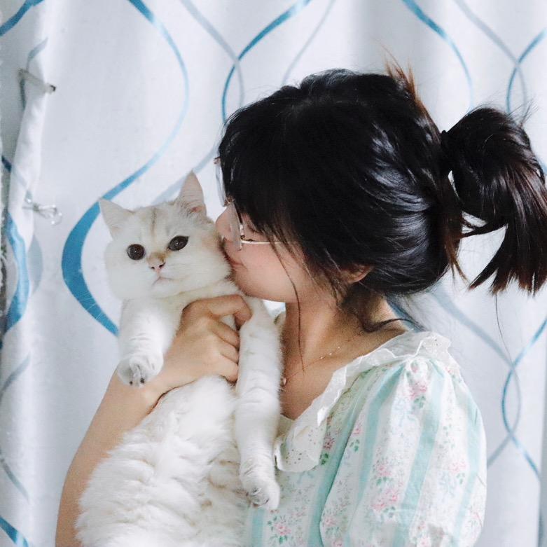 东京猪猪