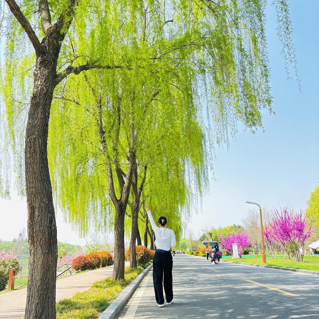 陌雨曦🍭🍭🍭