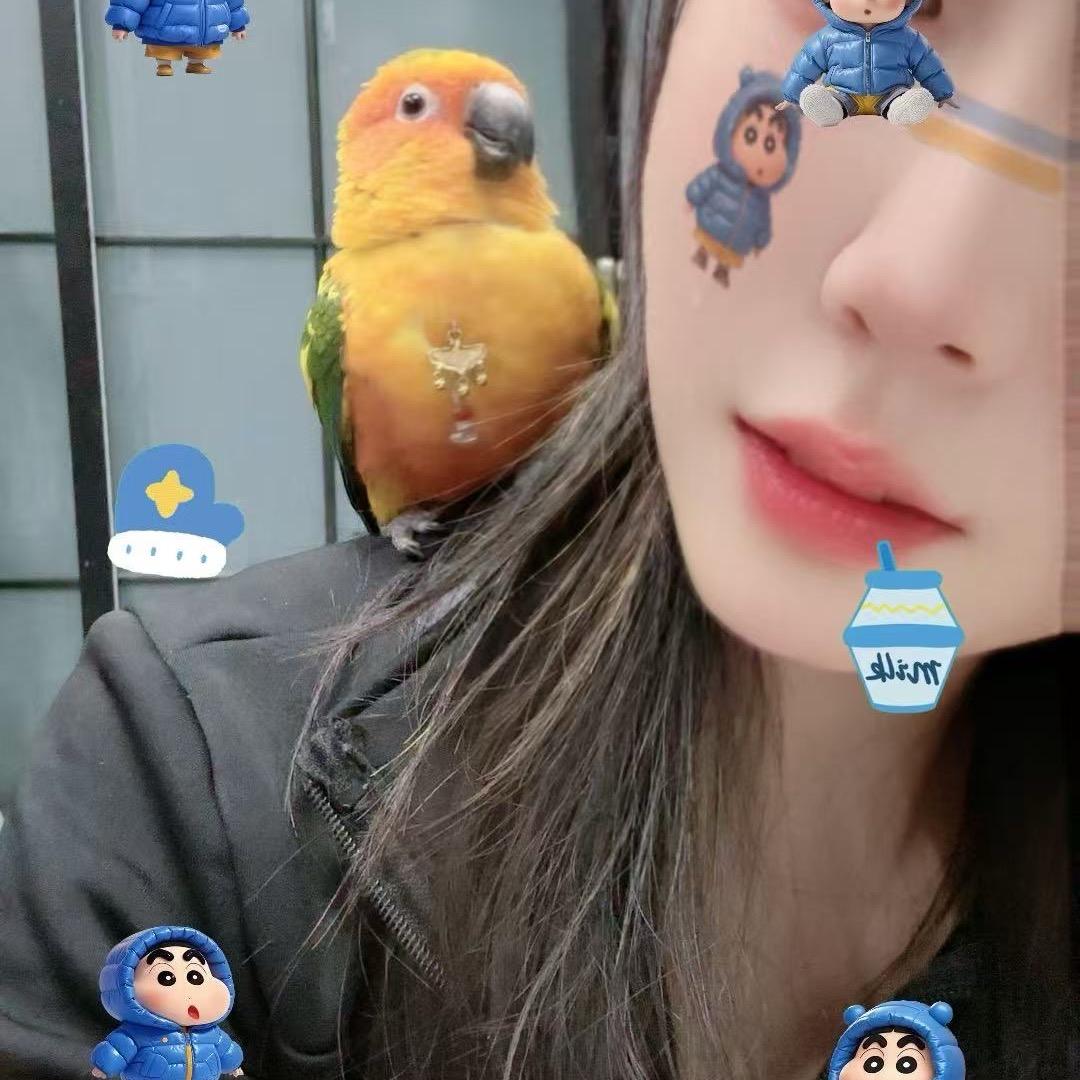 爱鹦鹉的小女子