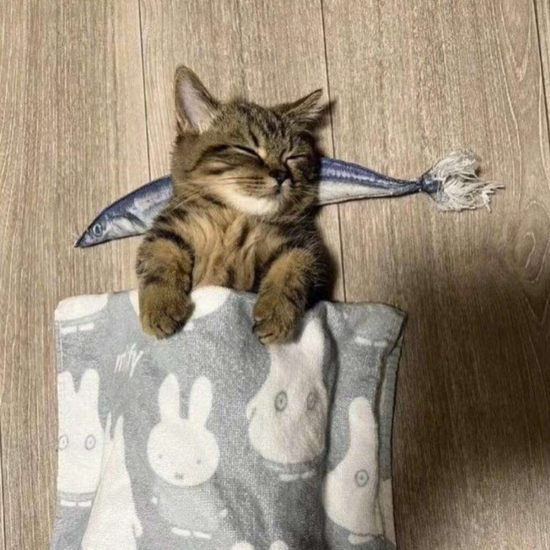 连告别都双手插兜的男人！