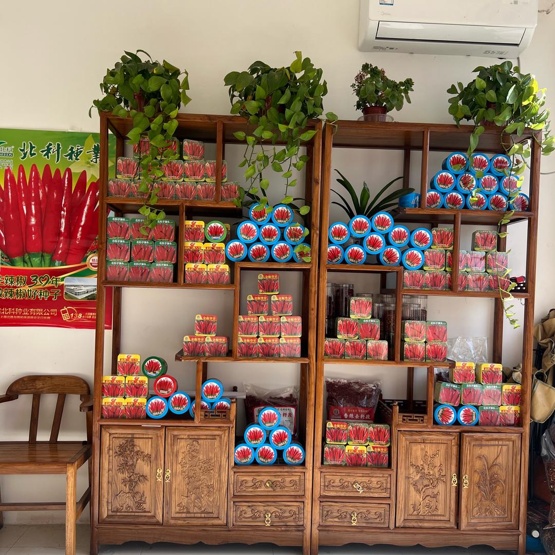 北科辣椒种子