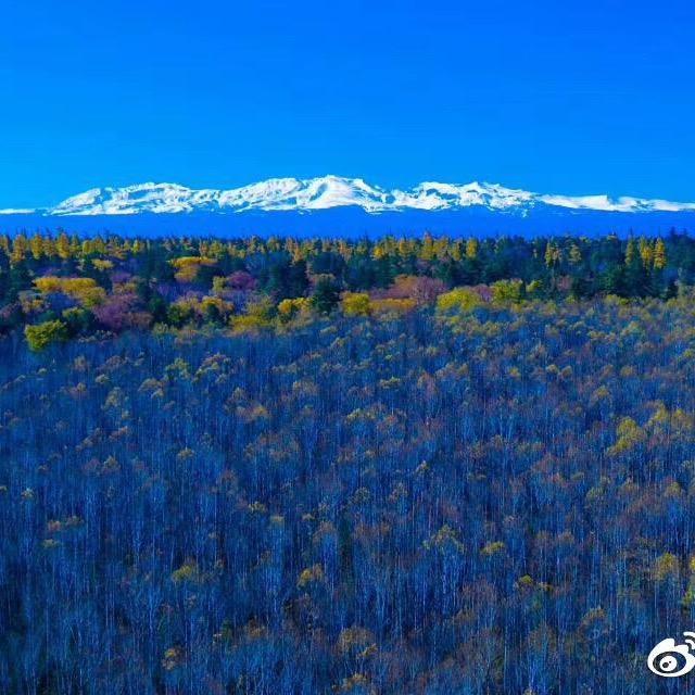 陈：手可摘星辰