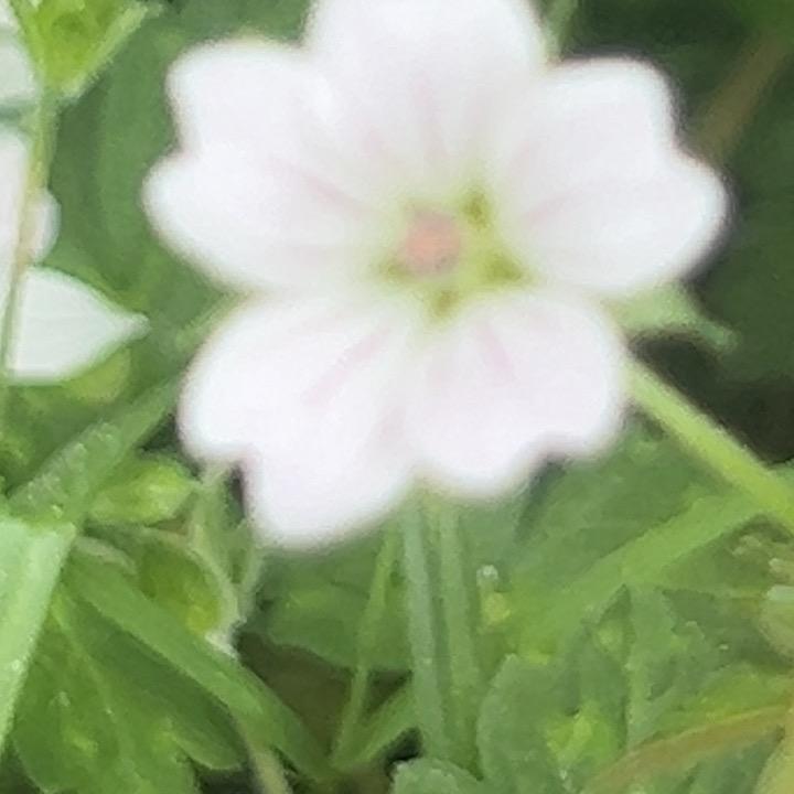 唯一
