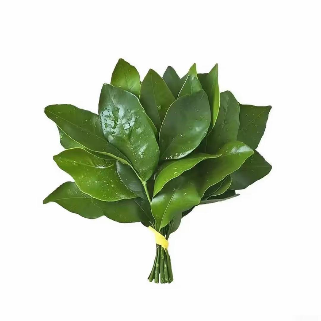 Xuuuu