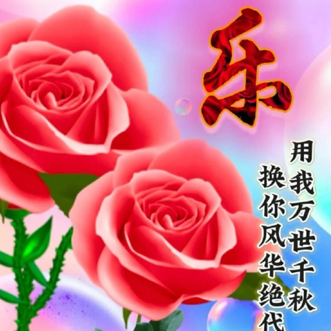 花好月圆🌹🌹