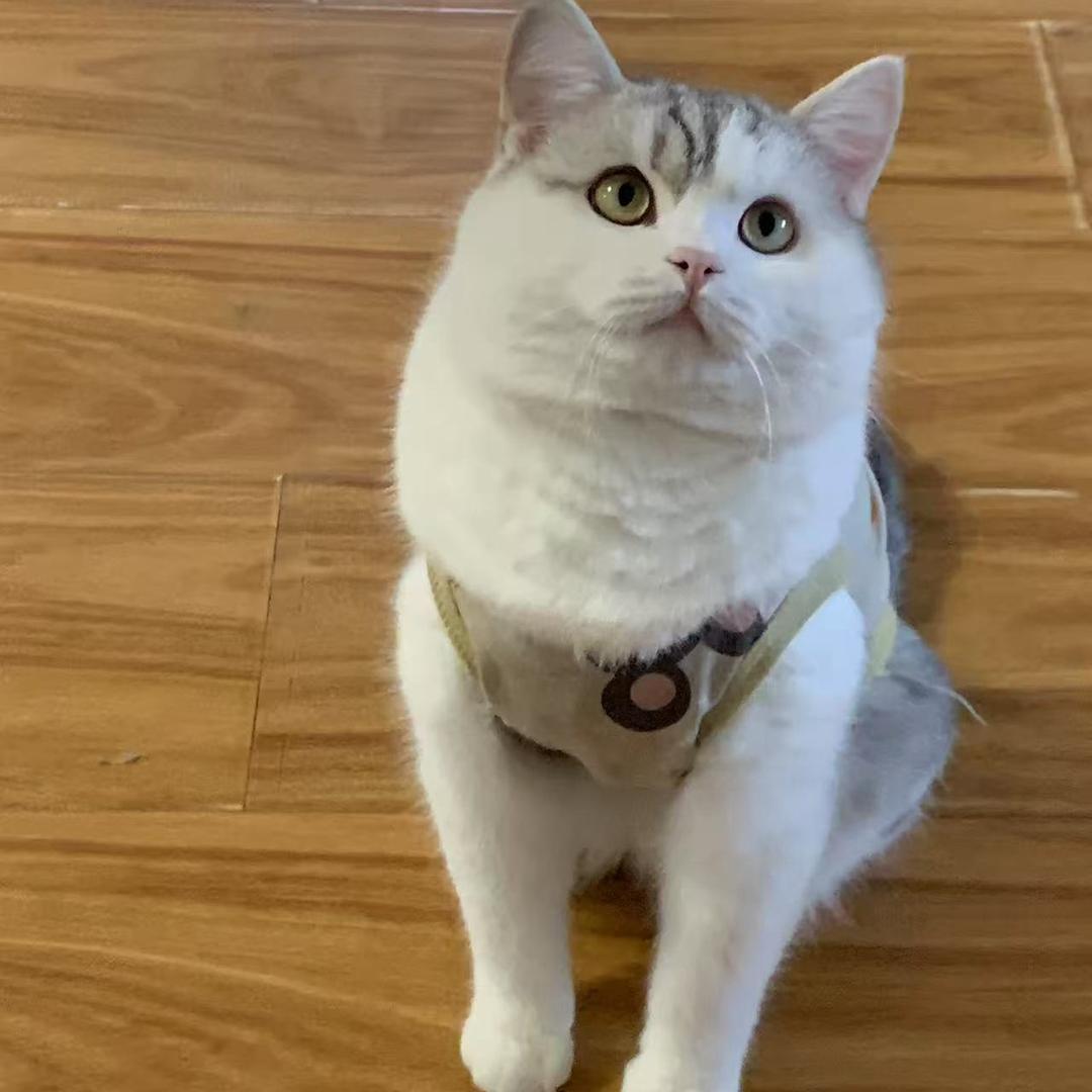 𝙆𝙇𝙁𝙕𝙃𝟳