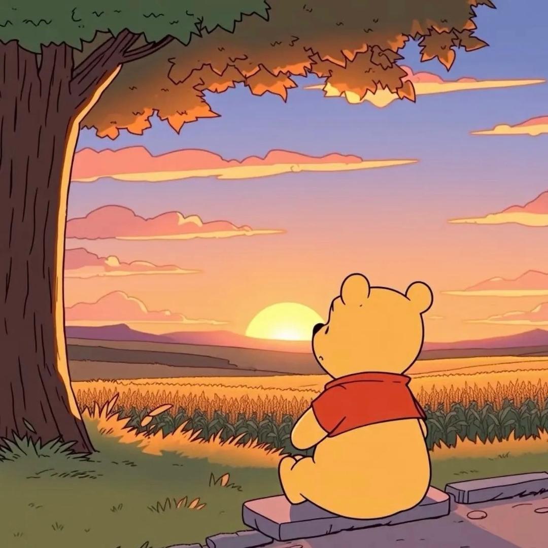 我不是淑女、