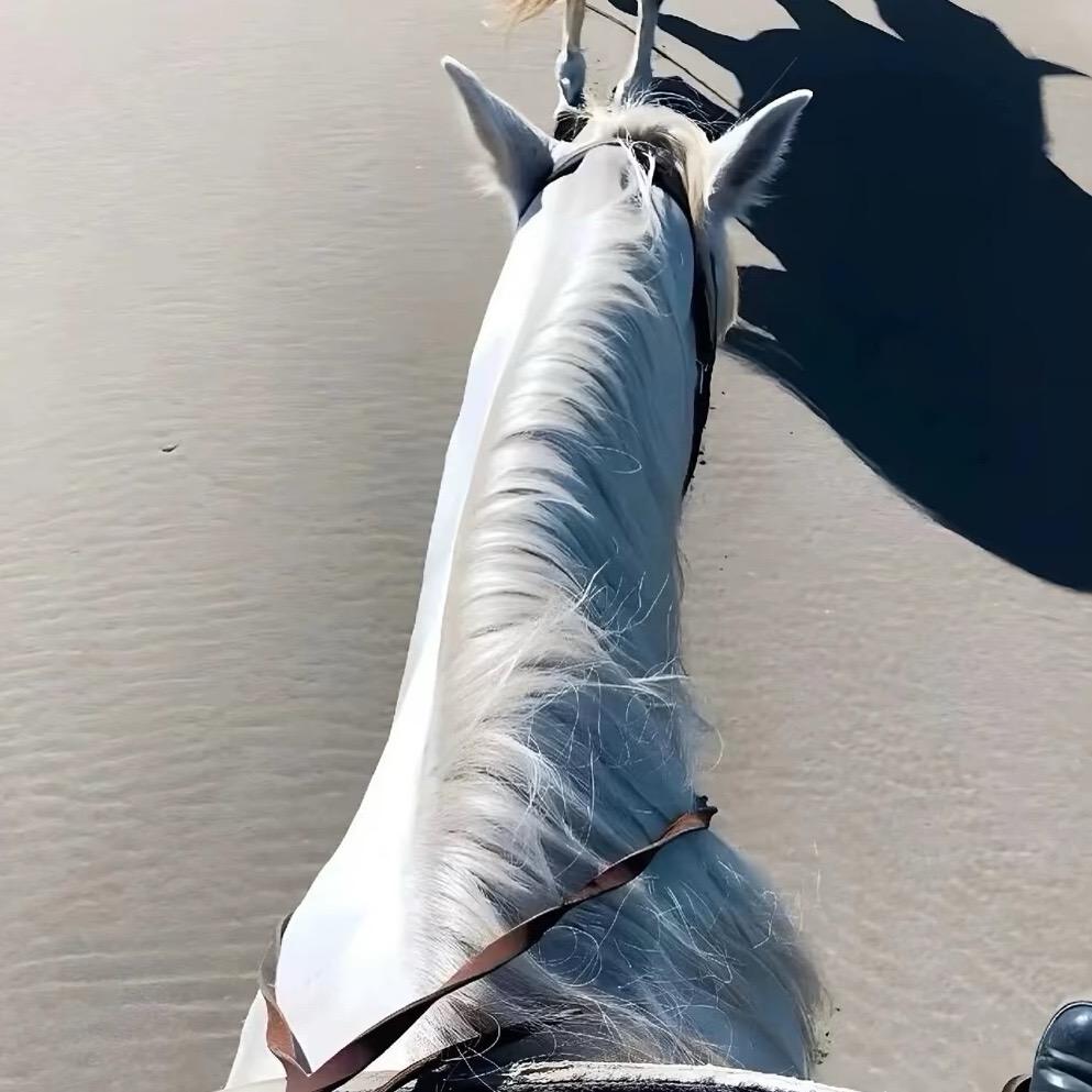 一个二手机贩子