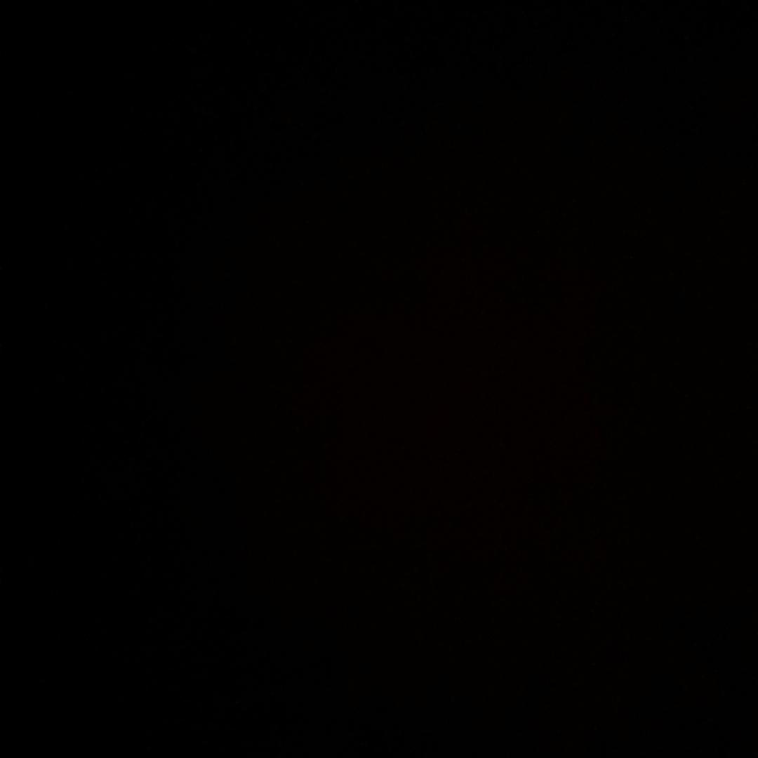 ·•