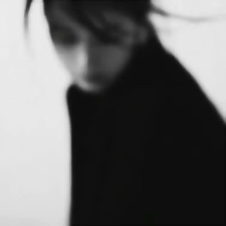 鲨鱼宝宝～
