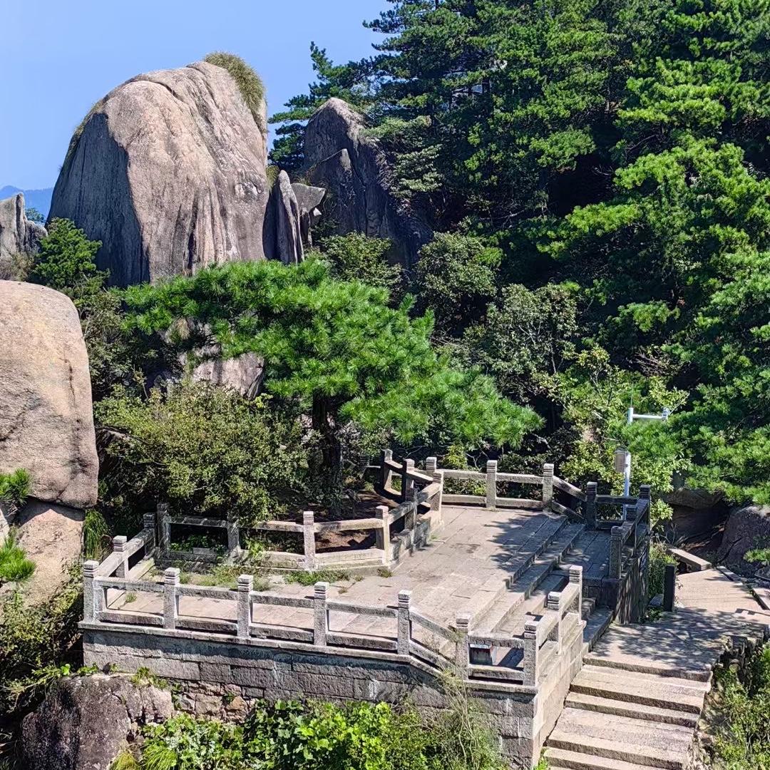 新复艺