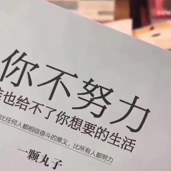兔子815