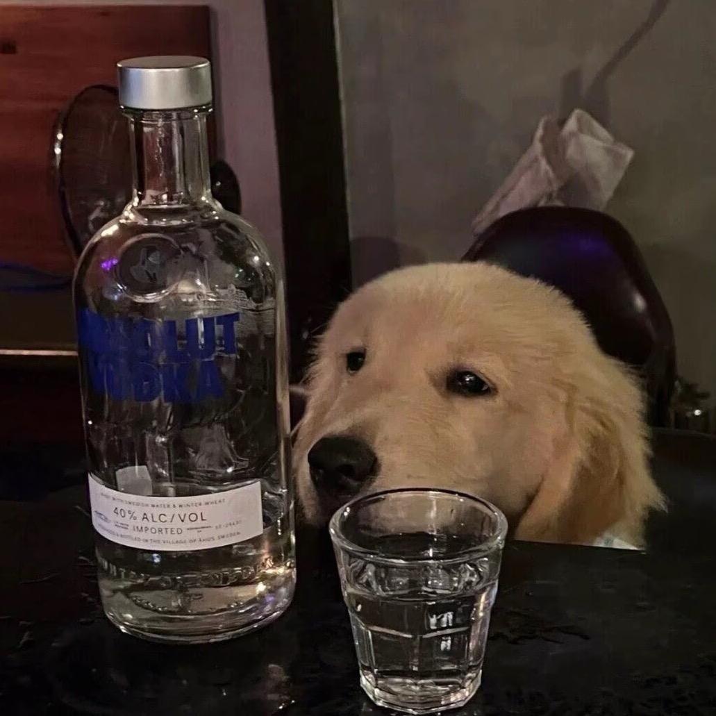 想给她们一个家