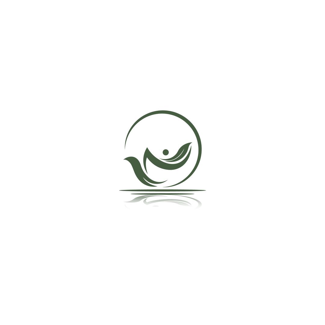 梅子箐119号—文茗茶业