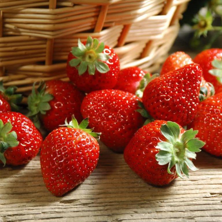 小田说草莓🍓