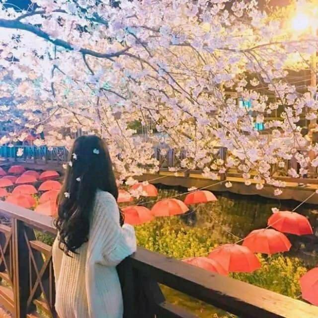 嘉措～