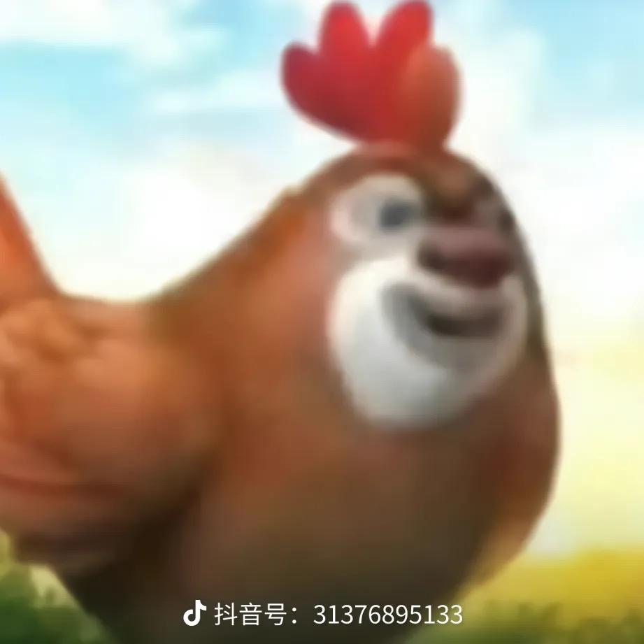 小管崽