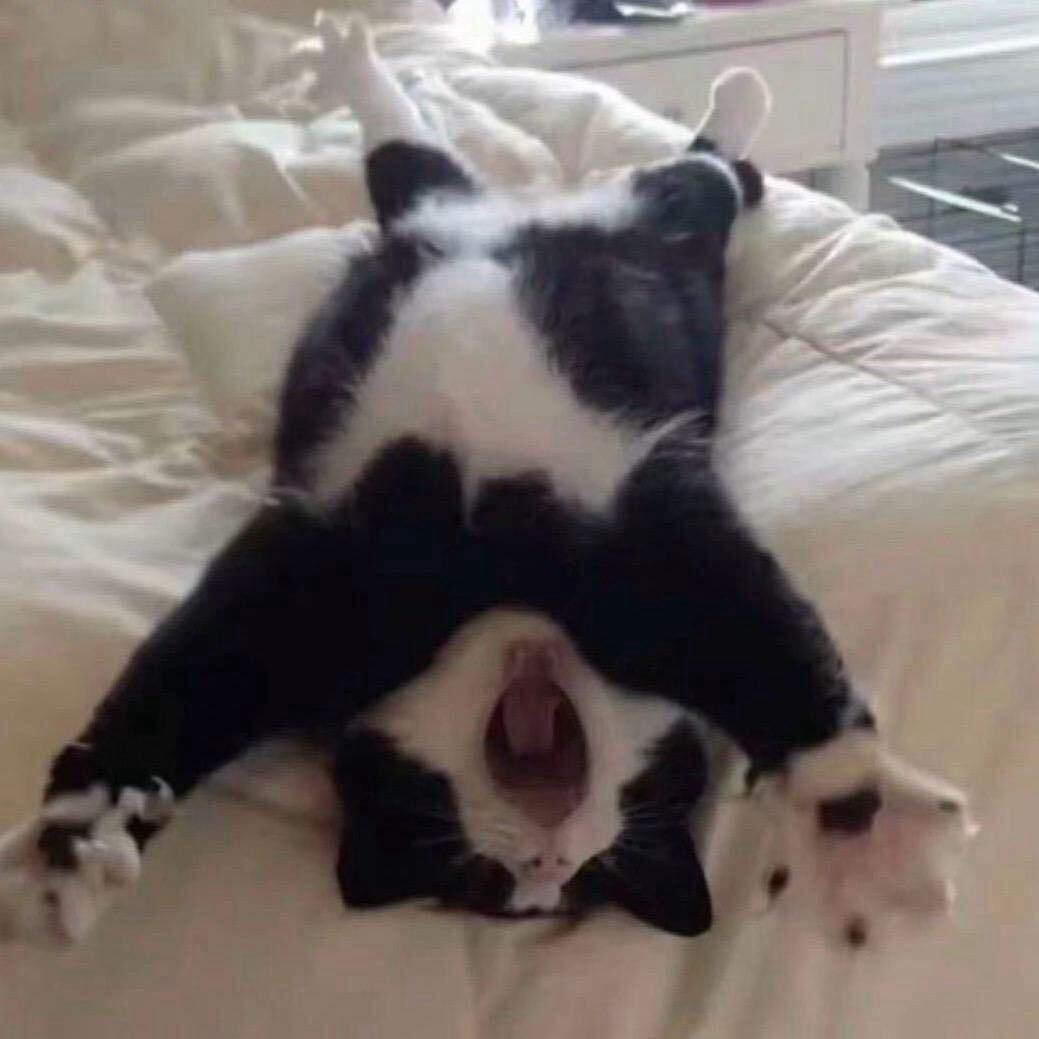 Uu