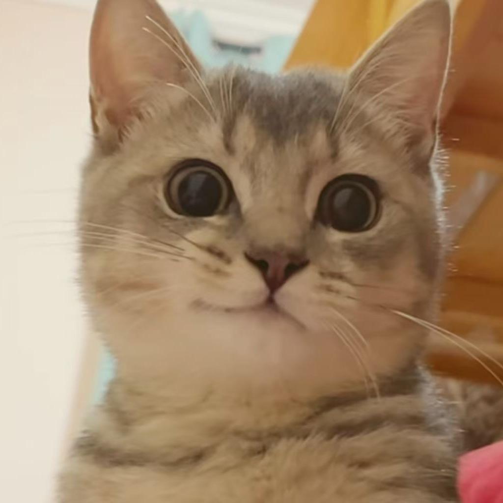 Sourire