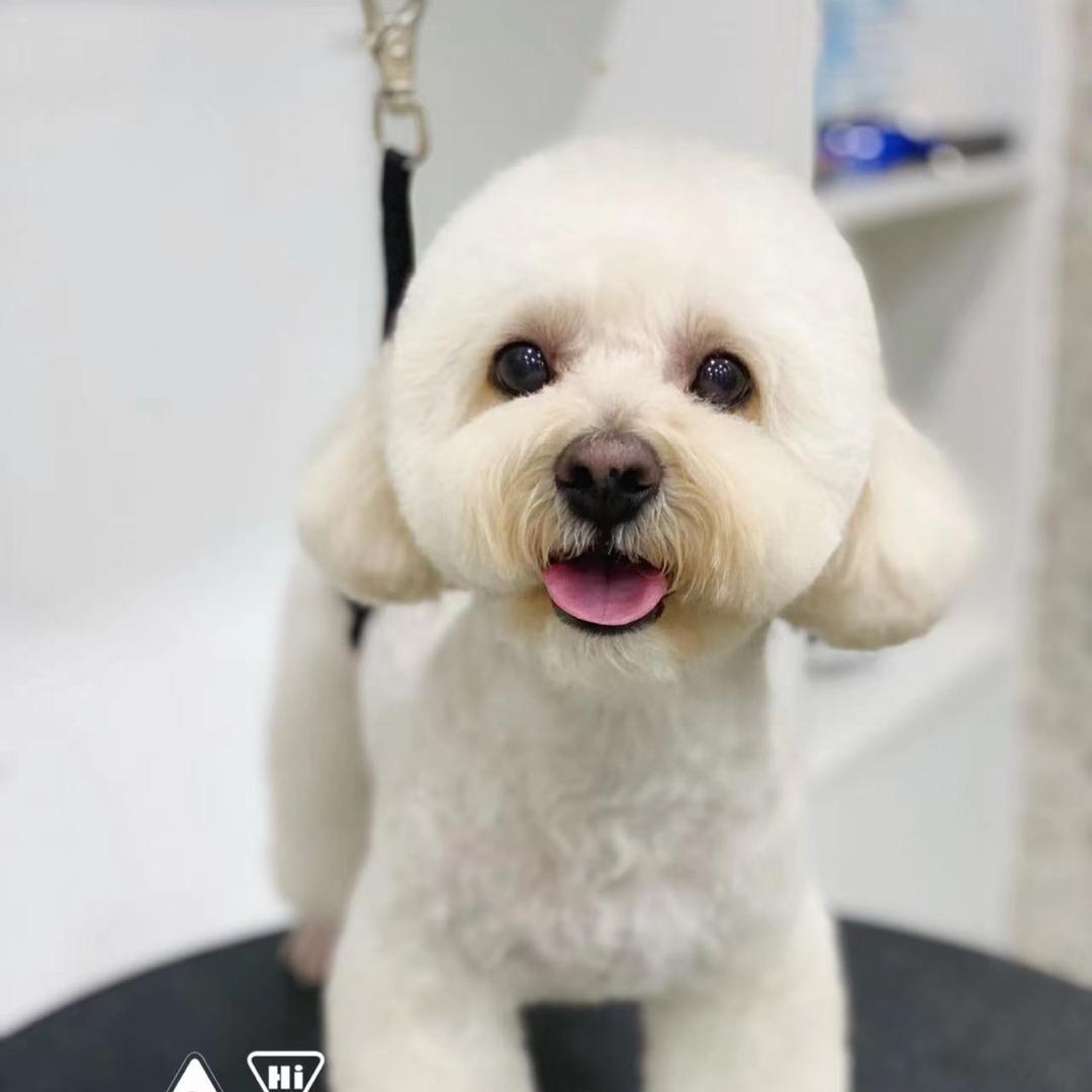 能发点小财的歆恩恩恩恩