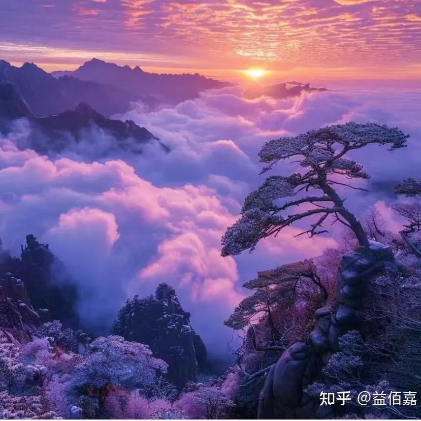 壹贰叁肆·五