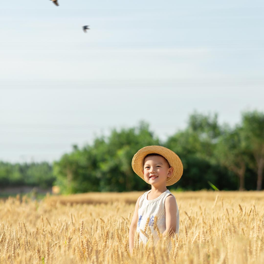 头发丝🌾
