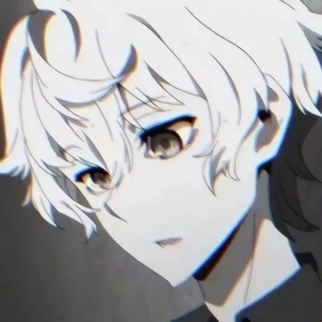✨✨