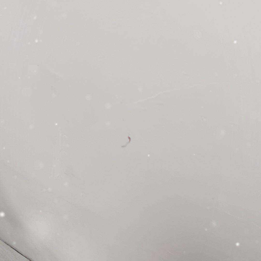 36885544643