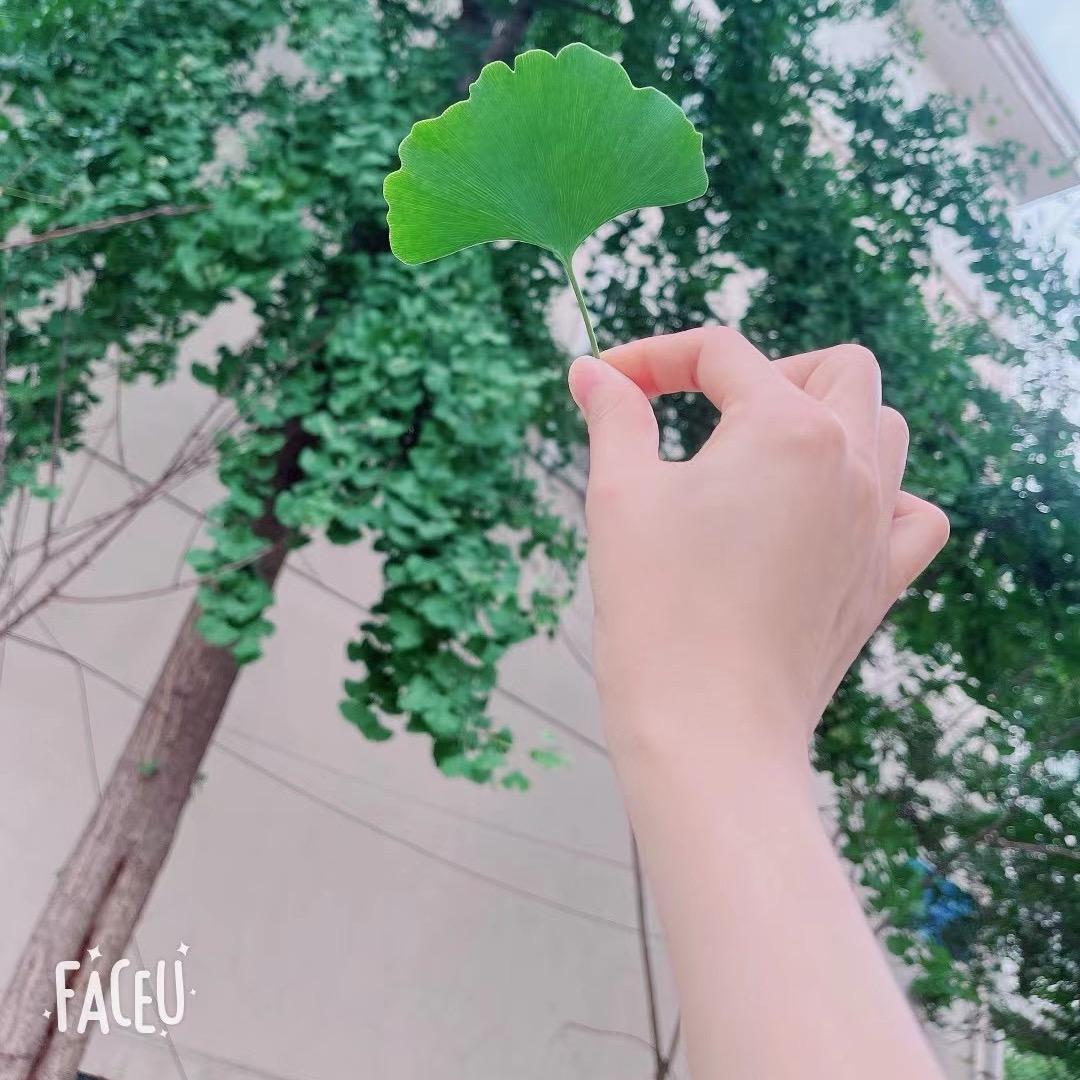 糖豆..