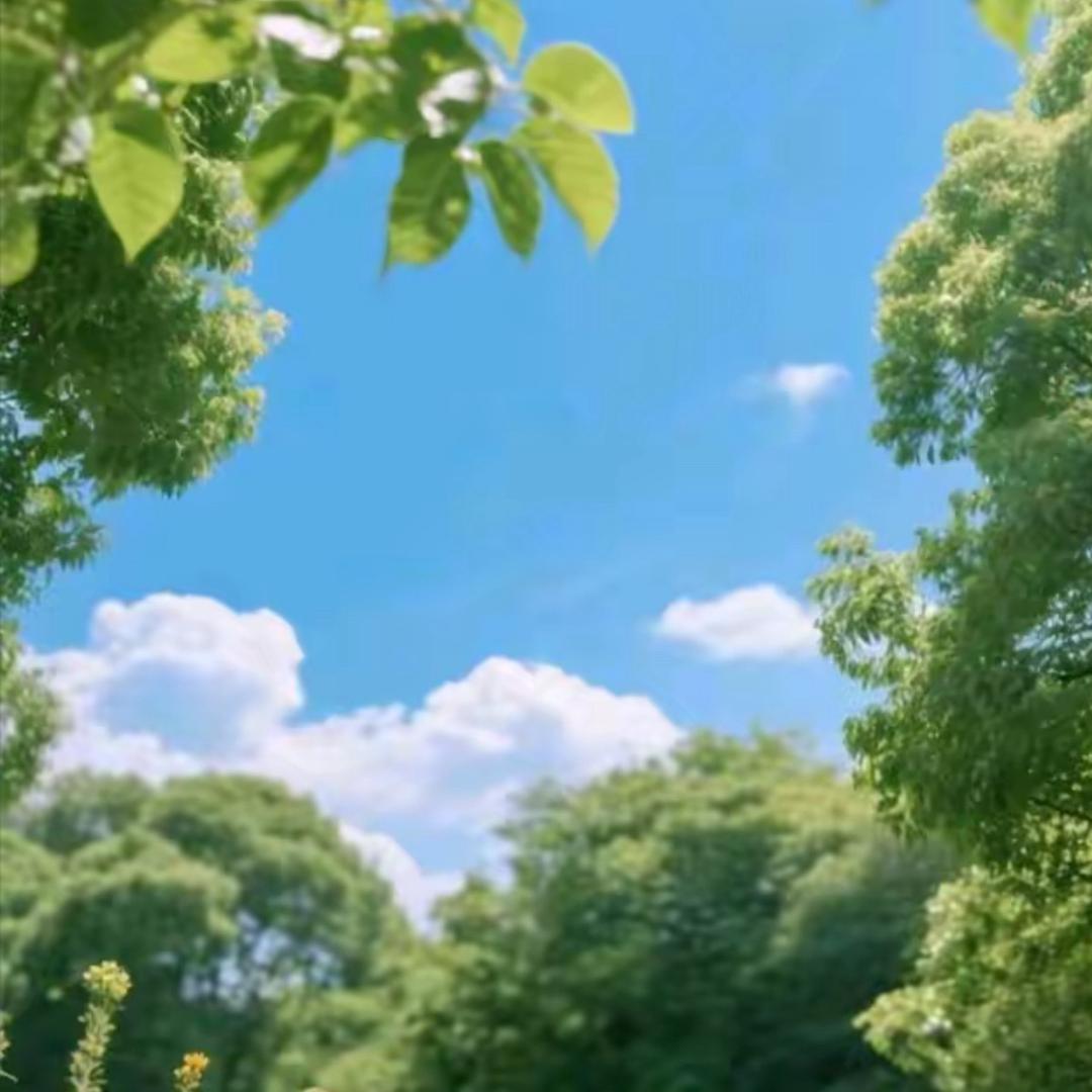 福运满满