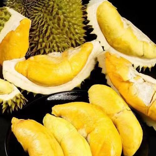 苏州工业园区猫果果