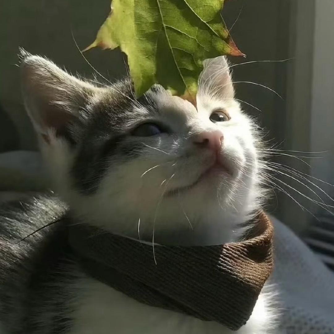火辣辣的腋毛🤓🤓🤓