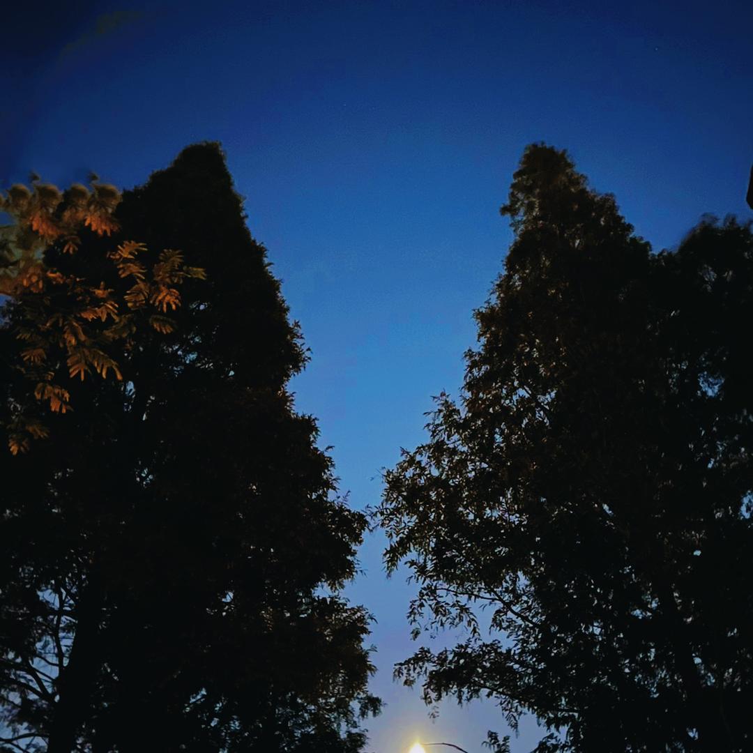 包子爱玩游戏