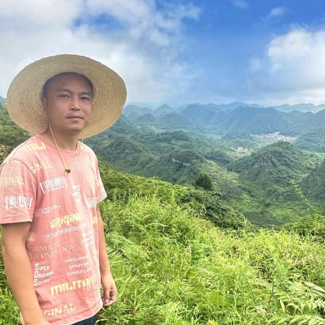 香飘万家鲜果直