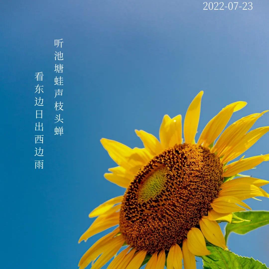 格式化