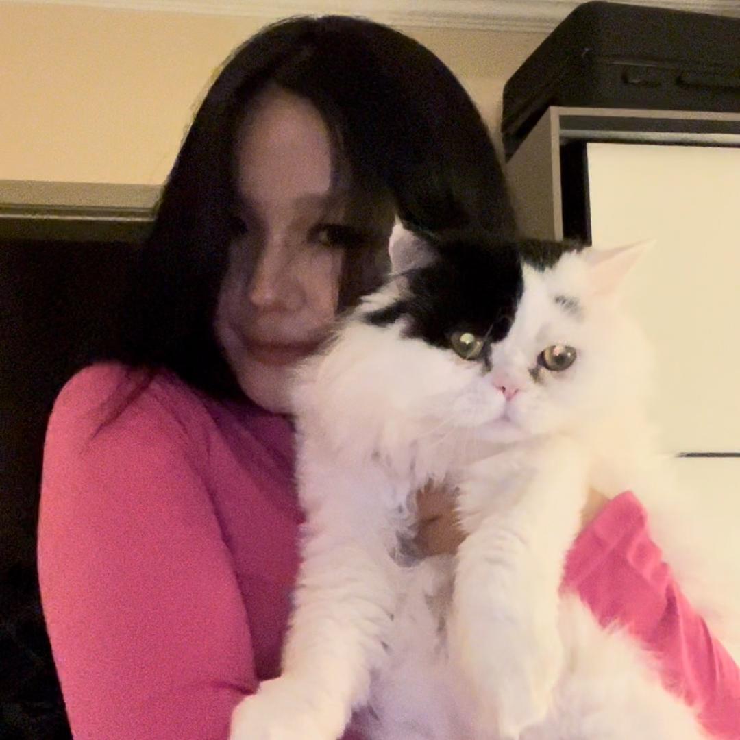 海盗妈（养号版）