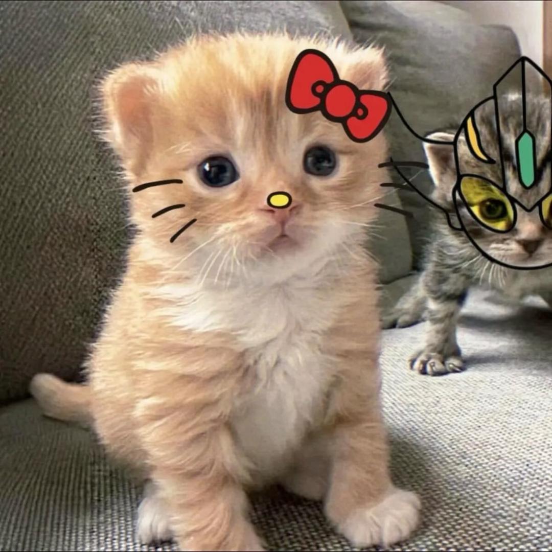 🟥🟧🟨🟩🟦🟪