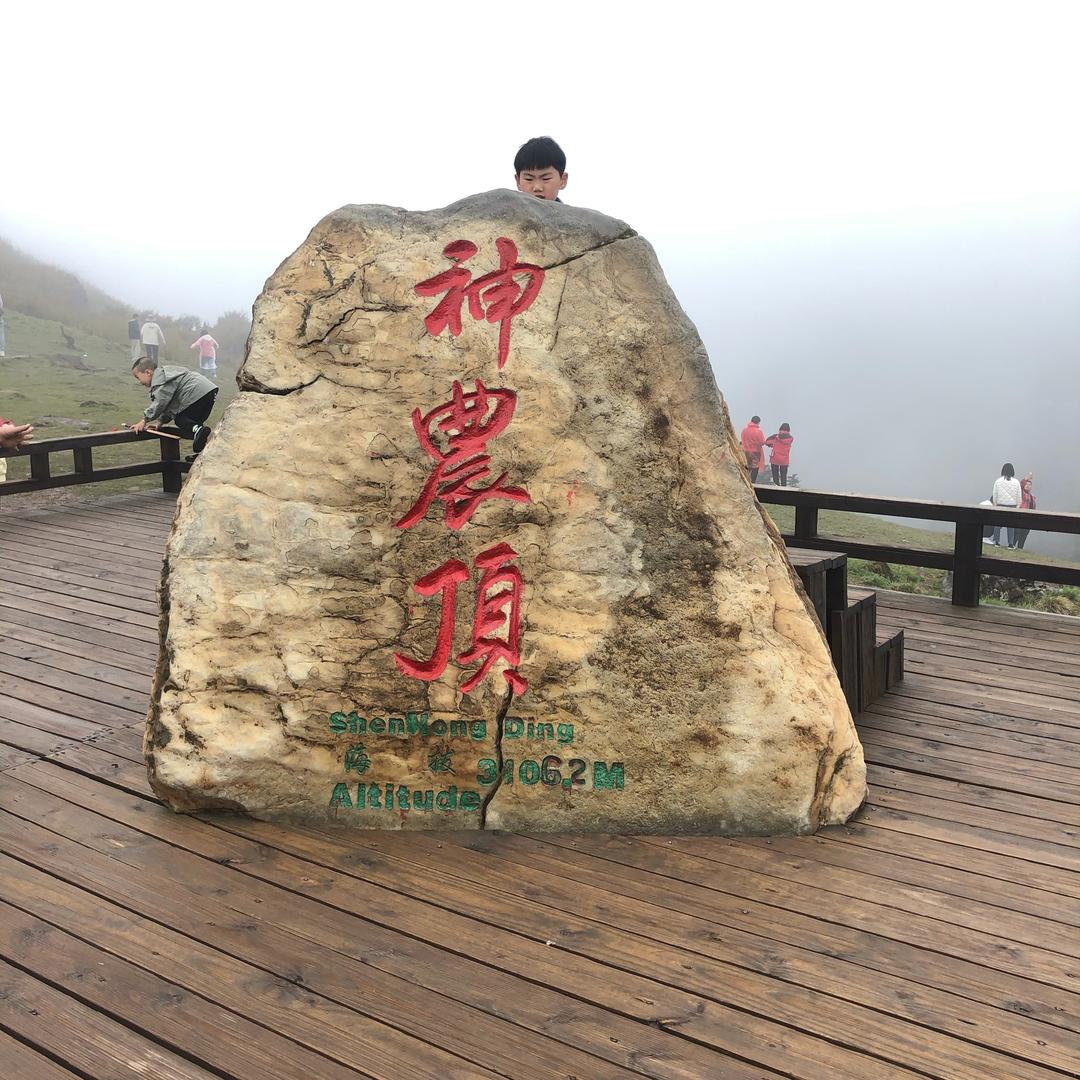 一颗躁动的心
