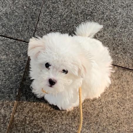 欣欣崽儿