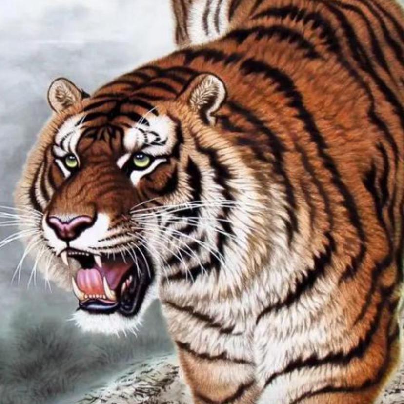 @🐯