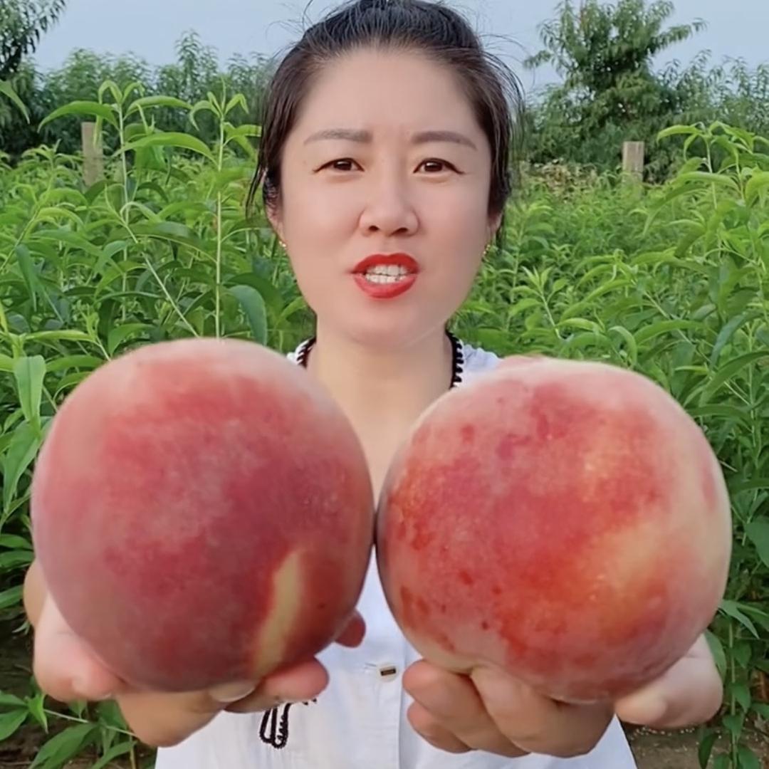 丫头苗圃