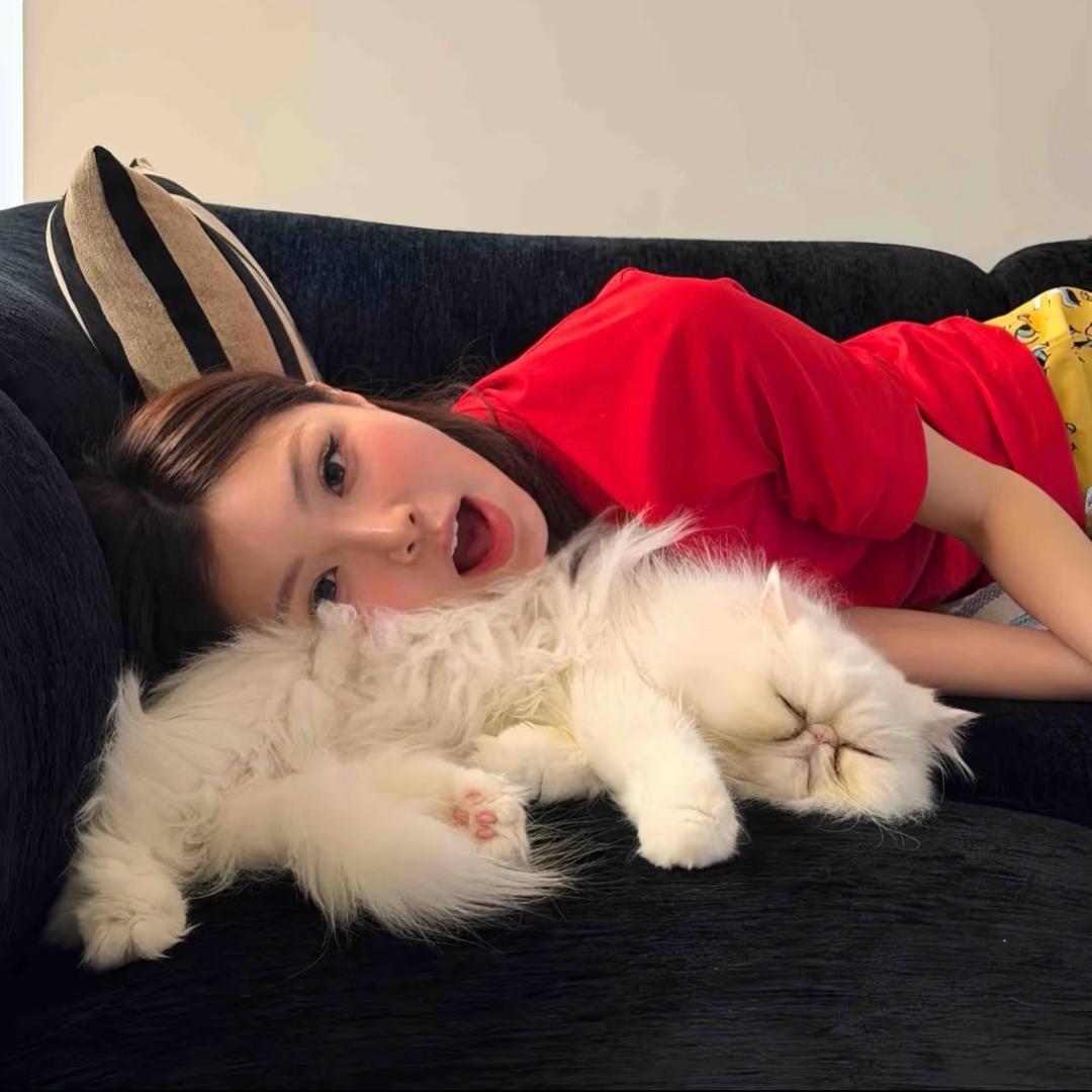 （鄄城首家）大乾酸甜麻辣拌