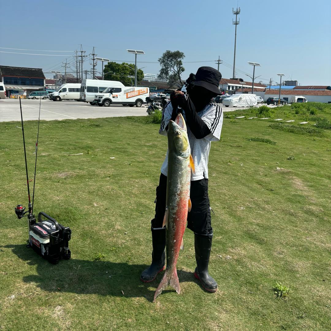 💐蒋道理·钓鱼🎣佬