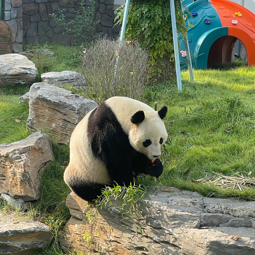 木木养生日记