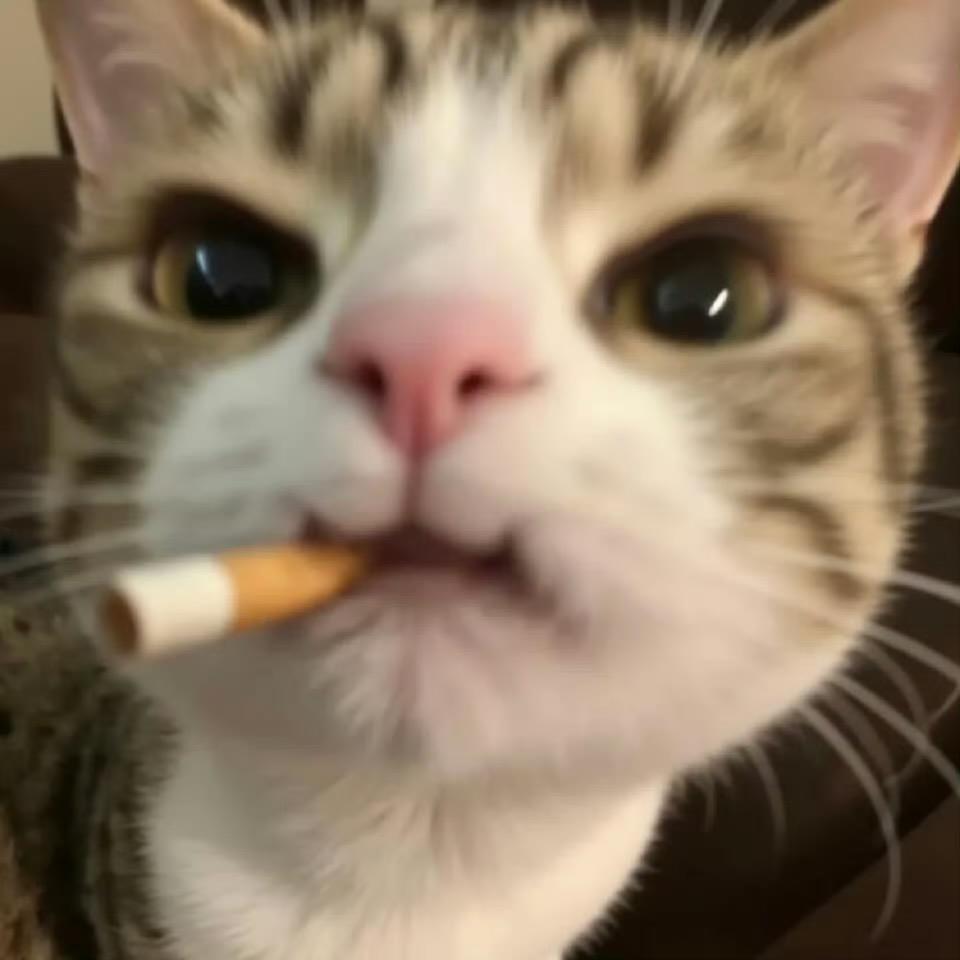 那又怎样呢