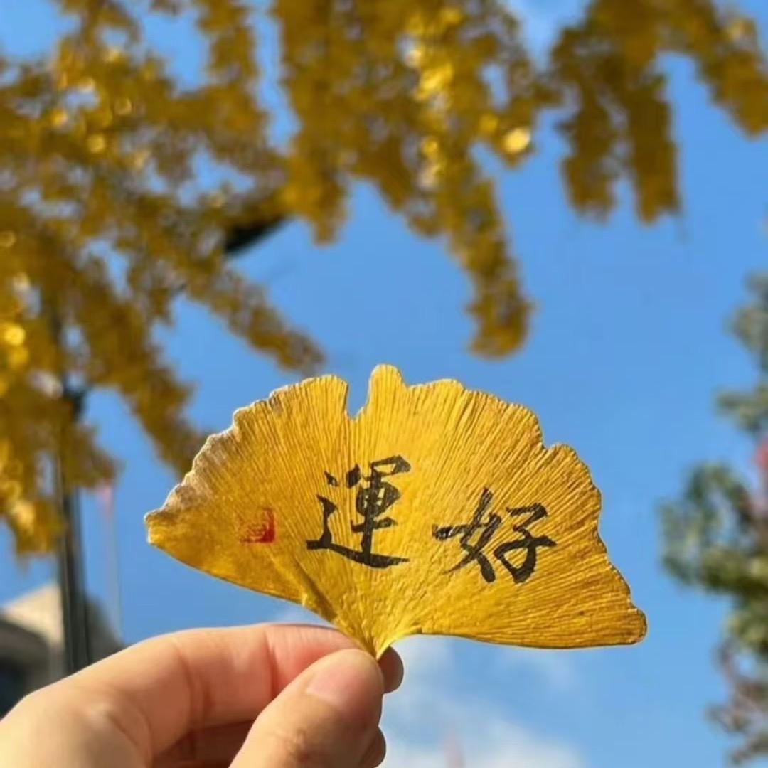 财神爷的小宝贝