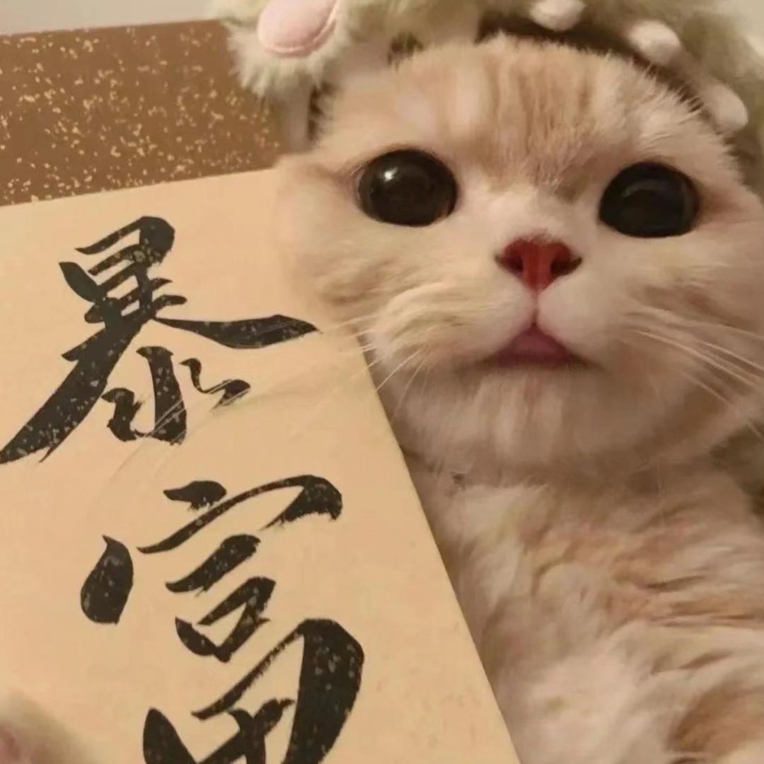 尼莫👻