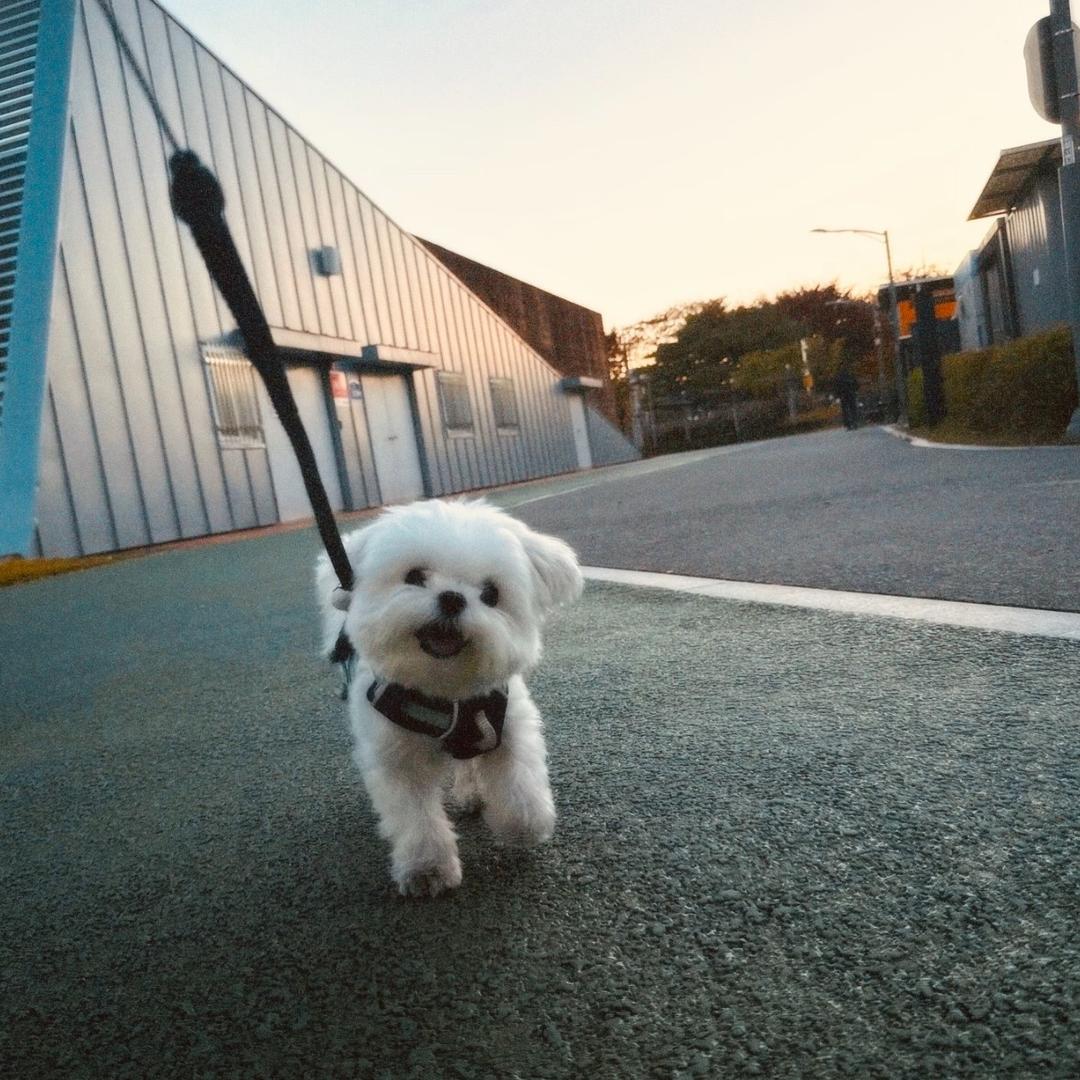 绝对不做对不起李子骞的事