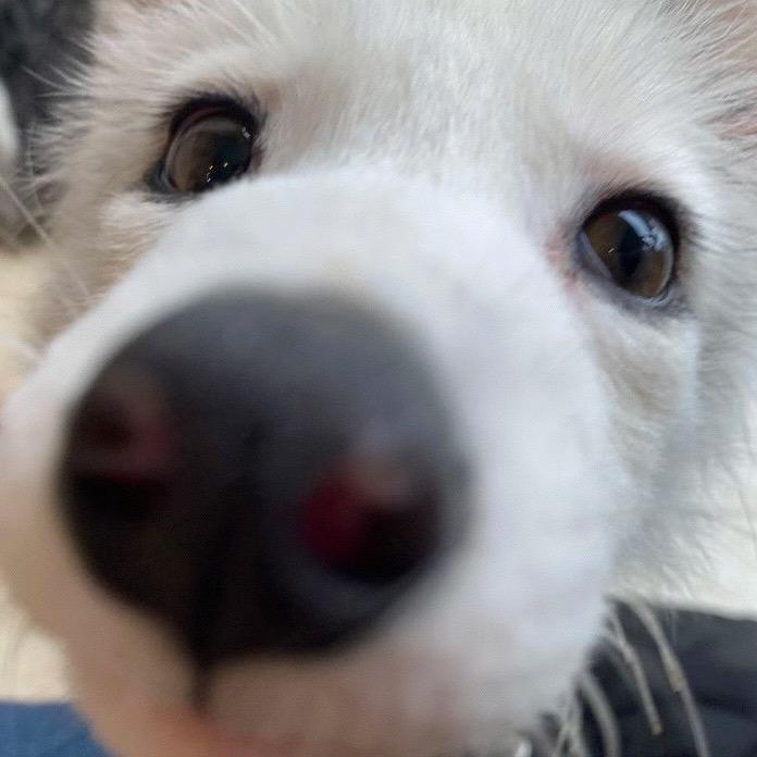 我在地府很想你